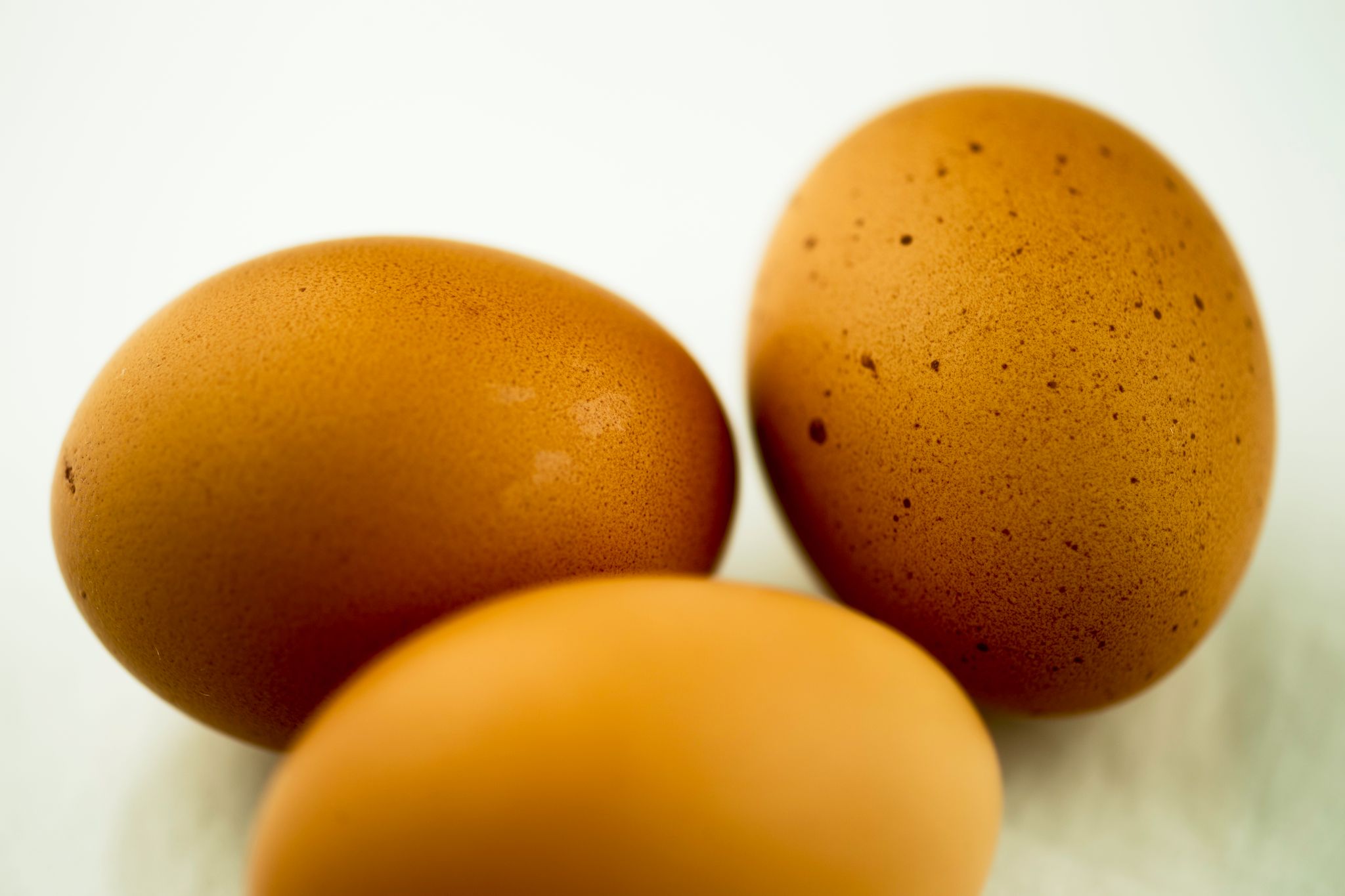 BRUNA FRIGÅENDE INOMHUS